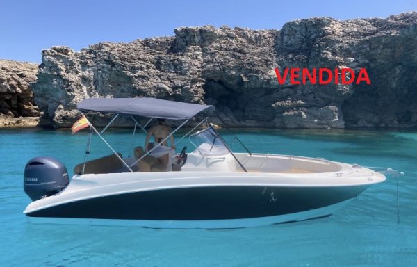 REMUS 620 + YAMAHA F115LB